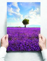 Wandbord: Franse Provence Landschap Met Lavendel En Een Boom - 30 x 42 cm