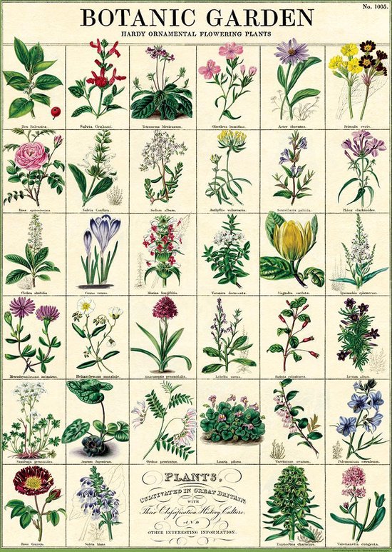 Poster Botanic Garden - Cavallini & Co - Schoolplaat Botanical | bol.com