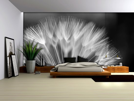 verwarring De eigenaar Luxe Fotobehang - Vlies Behang - Zwart-wit Paardenbloem - 416 x 254 cm | bol.com