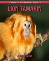 Lion Tamarin