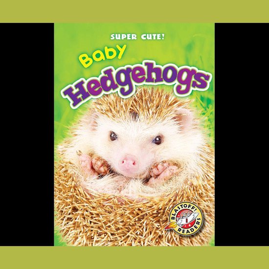 Baby Hedgehogs - cover