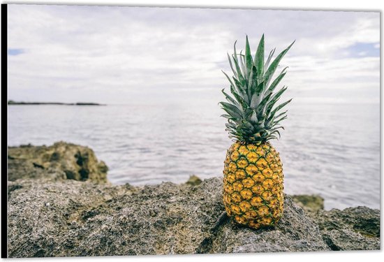 Dibond –Ananas op een Rots bij de Zee-60x40 Foto op Aluminium (Wanddecoratie van metaal)