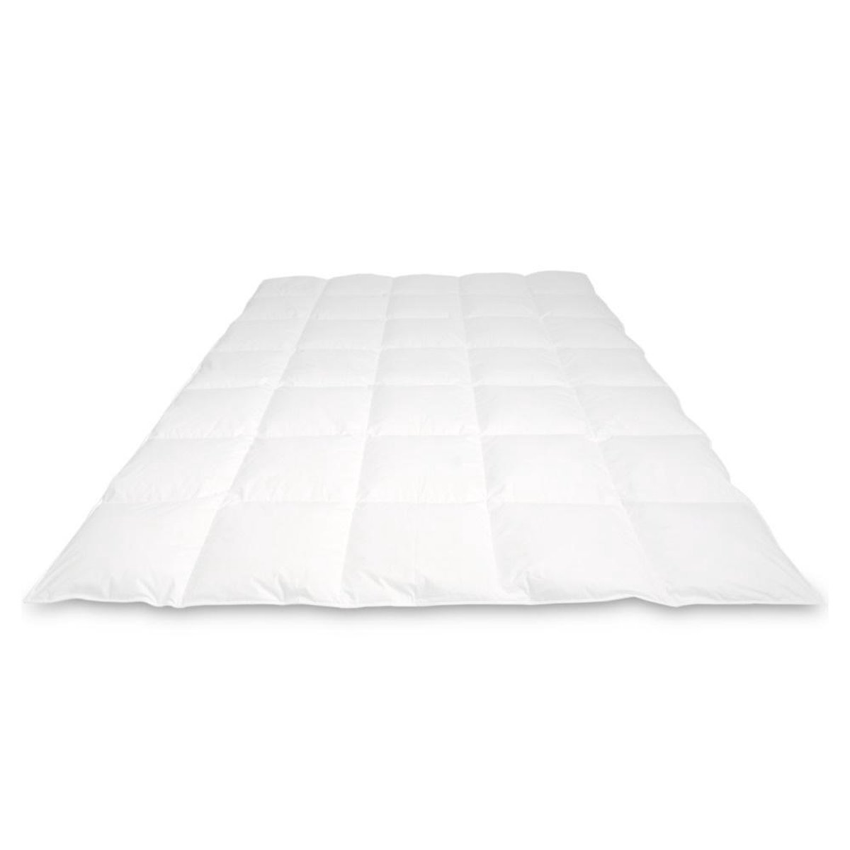 Rembrandt Donzen Dekbed - 100 % Mazurische ganzendons - Herfst/Lente - 240 x 220 cm