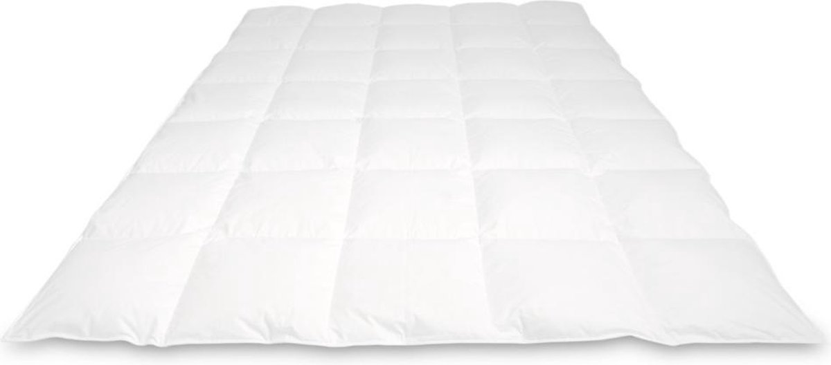 Cassenz REMBRANDT | donzen dekbed | 100% ganzendons | Herfst | warmteklasse 3 - 260/220cm - 775gr.
