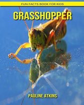 Grasshopper