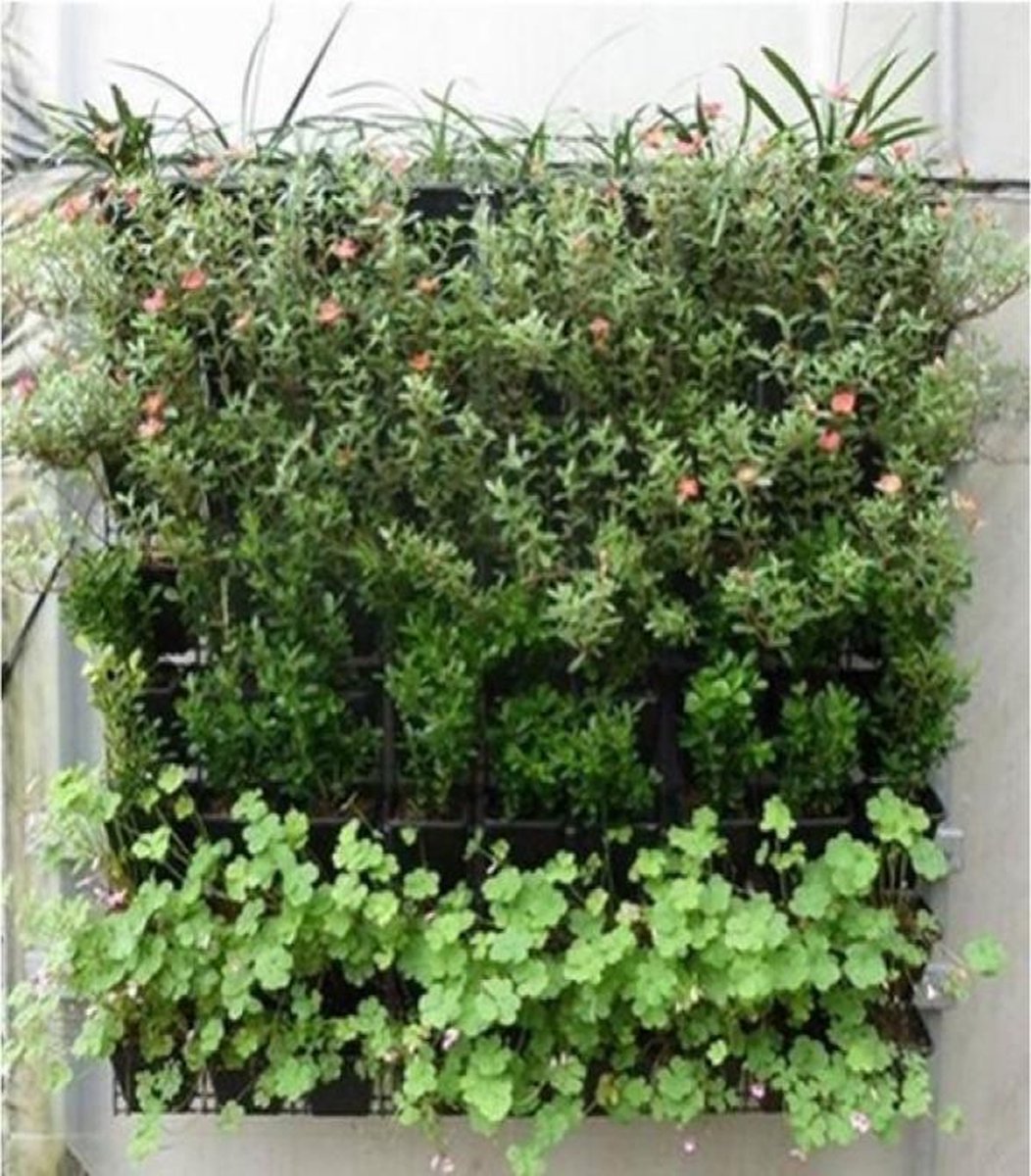Bekijk de onze Tuinartikelen in de Shop | Mijn Verticale Tuin
