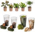 Ecoworld Varen DIY Terrarium Planten Ecosysteem Set - 5 Varens - Substraat - Grond - Mos