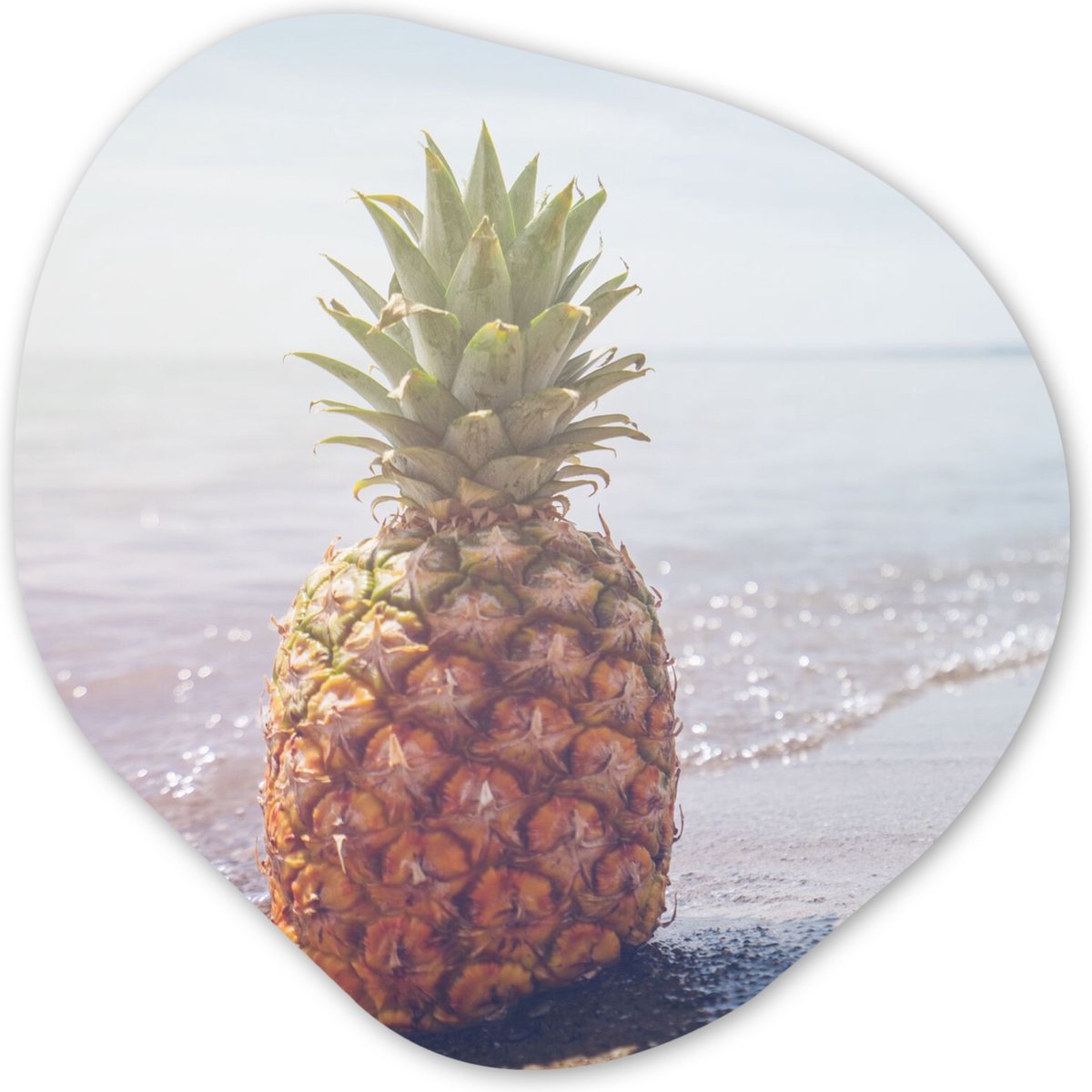 Organische wanddecoratie 40x40 cm - Organisch schilderij Ananas - Strand - Zomer - Zon - Muurdecoratie woonkamer - Kamer decoratie - Schilderijen - Muurcirkel aesthetic
