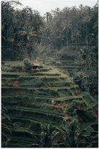 WallClassics - Poster (Mat) - Landbouwvelden in Bali - 50x75 cm Foto op Posterpapier met een Matte look