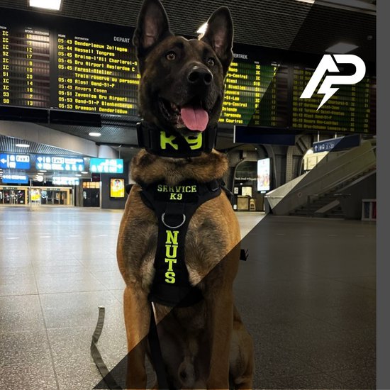 dood web Gang Honden tuig Met Naam - Honden Harnas Geborduurd - Tactical - Zwart – Maat L  | bol.com