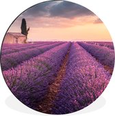 WallCircle - Wandcirkel - Muurcirkel - Lavendel - Bloemen - Paars - Veld - Aluminium - Dibond - ⌀ 90 cm - Binnen en Buiten