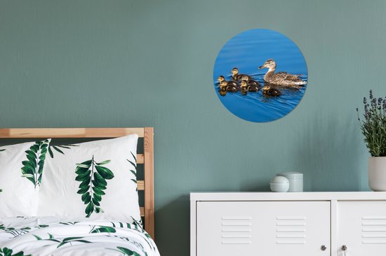 Cercle mural - Cercle mural - Canard - Water - Vogel - Marron - Plastique - Décoration murale ronde - ⌀ 30 cm - Cercle mural animaux - Décoration murale ronde - Tableaux ronds