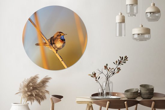 WallCircle - Wall Circle - Wall Circle Indoor - Vogels - Gorgebleue à miroir - Roseaux - 120x120 cm - Décoration murale - Peintures Ronds XXL