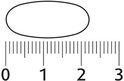 Een pil van ongeveer 2 cm lang, gemeten op een liniaal met markeringen van 0 tot 3.