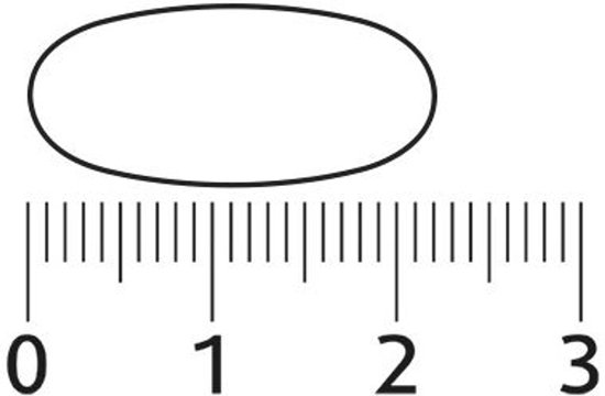 Een pil van ongeveer 2 cm lang, gemeten op een liniaal met markeringen van 0 tot 3.