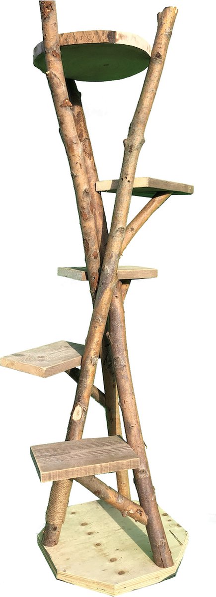 Catsy - Tree S - Krabpaal Katten Natural Boomstam Klimboom Hout Design - Groen - 58 x 75 x 170 cm