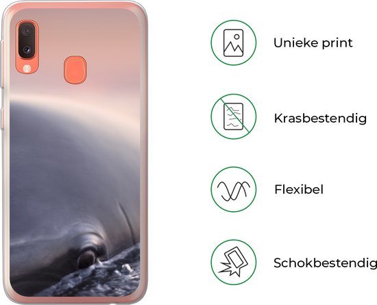 Transparante hoes met een close-up van een dolfijn in water, oranje rand.
