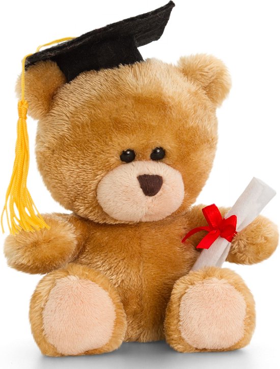 Carte postale de félicitations au format A5 avec un ours en peluche à thème réussi