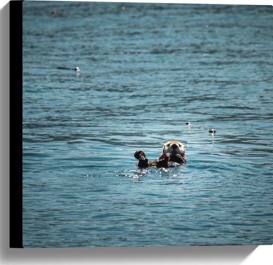 WallClassics - Canvas  - Otter in de Zee - 40x40 cm Foto op Canvas Schilderij (Wanddecoratie op Canvas)