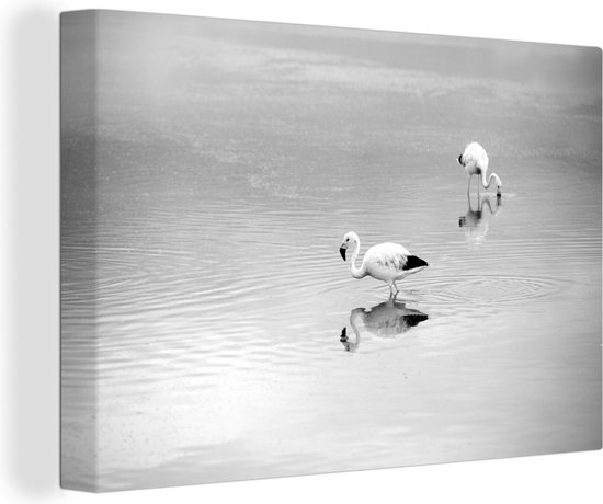 Canvas Schilderij Twee Chileense flamingo's in het heldere water - zwart wit - 60x40 cm - Wanddecoratie