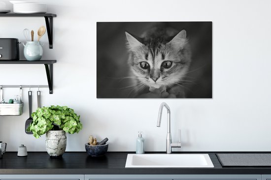 Profil animalier sentant le chat en toile noir et blanc 2cm 90x60 cm - Tirage photo sur toile (Décoration murale salon / chambre)