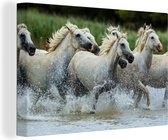 Canvas Schilderij Paarden - Water - Natuur - 90x60 cm - Wanddecoratie