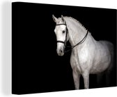 Canvas Schilderij Paard - Wit - Zwart - 60x40 cm - Wanddecoratie