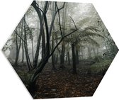 WallClassics - Feuille de mousse PVC Hexagone - Forêt Brumeuse - 70x60,9 cm Photo sur Hexagone (avec système d'accrochage)