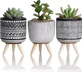 TERESA'S COLLECTIONS Keramische kunstmatige vetplant in potset met standaard, set van 3 moderne geometrische nepplanten voor badkamer, huisdecoratie, H16,5 cm