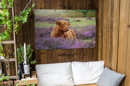 Un montagnard écossais se trouve parmi les fleurs violettes.Affiche de jardin 120x80 cm - Toile de jardin / Toile d'extérieur / Peintures d'extérieur (décoration de jardin)