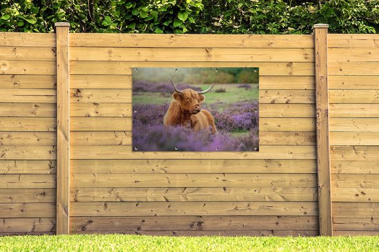 Un montagnard écossais se trouve parmi les fleurs violettes.Affiche de jardin 120x80 cm - Toile de jardin / Toile d'extérieur / Peintures d'extérieur (décoration de jardin)