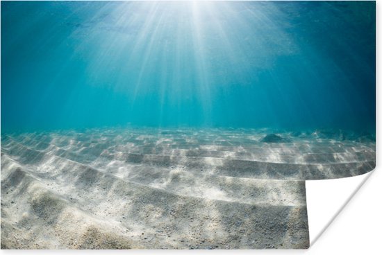 Zonlicht op de zeebodem Poster - Foto print op Poster (wanddecoratie)