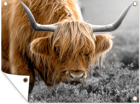 Décoration murale extérieur Highlander écossais - Fleurs - Vache - 160x120 cm