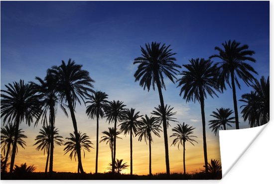 Poster Palmboom - Natuur - Strand - Zon - Nacht