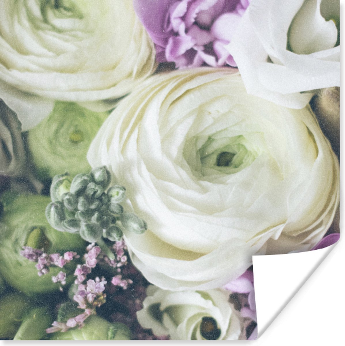 Poster Bloemen - Rozen - Natuur - 50x50 cm