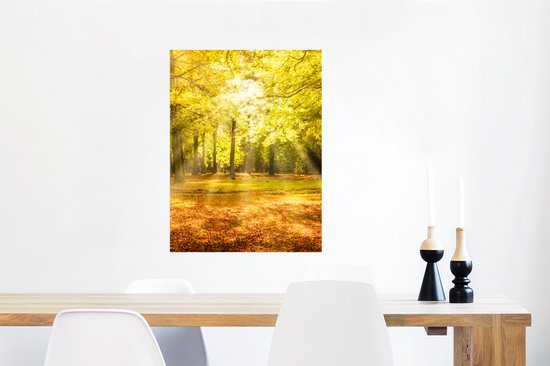 Affiche Arbre - Nature - Soleil - Paysage - Forêt - 60x80 cm