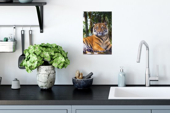 Affiche Tigre - Animaux - Forêt - Feuilles - Jungle - 20x30 cm