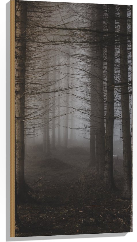 WallClassics - Hout - Mist tussen Hoge Witte Bomen - 50x100 cm - 12 mm dik - Foto op Hout (Met Ophangsysteem)