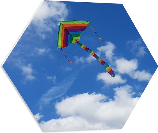 WallClassics - PVC Schuimplaat Hexagon  - Regenboog Vlieger in de Lucht - 60x52.2 cm Foto op Hexagon (Met Ophangsysteem)