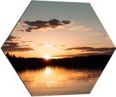 WallClassics - Dibond Hexagon - Zonsondergang aan Bosrand - 60x52.2 cm Foto op Hexagon (Met Ophangsysteem)