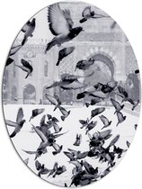 WallClassics - Dibond Ovaal - Vliegende Duiven in de Sneeuw - 81x108 cm Foto op Ovaal (Met Ophangsysteem)