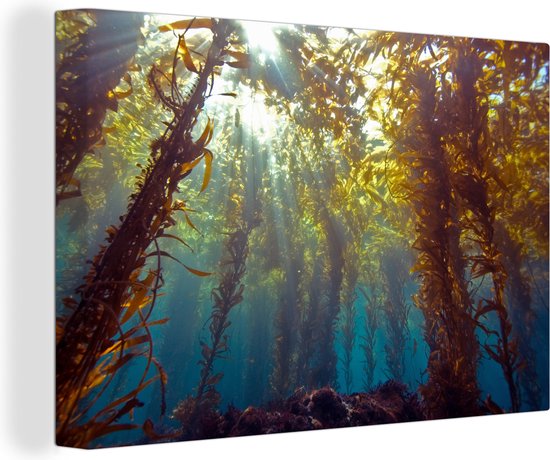 Zonlicht en planten onder water Canvas 120x80 cm - Foto print op Canvas schilderij (Wanddecoratie)