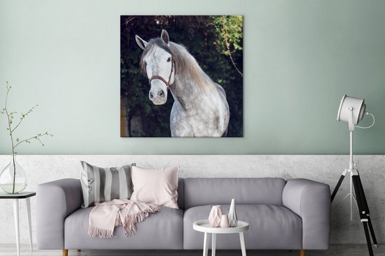 Tableau sur toile Cheval - Halter - Nature - 90x90 cm - Décoration murale