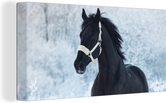 Canvas Schilderij Paard - Sneeuw - Bos - 40x20 cm - Wanddecoratie