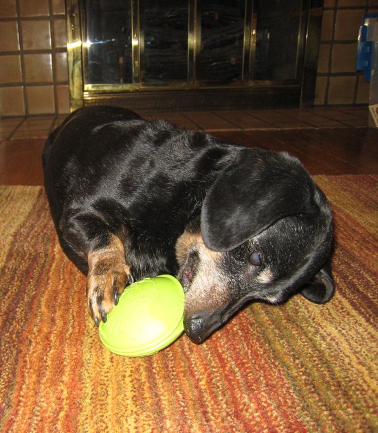 Jolly Pets Jolly Monster Mouth Honden speelbal met vanillegeur