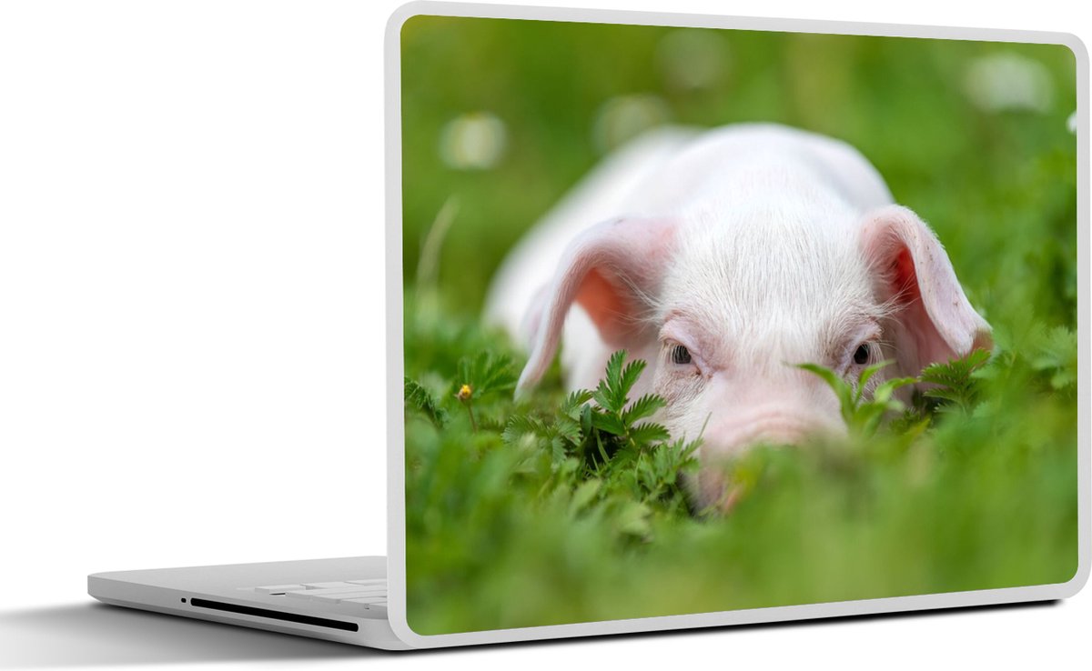 Laptop sticker - 14 inch - Varken - Dieren - Big - 32x5x23x5cm - Laptopstickers - Laptop skin - Cover