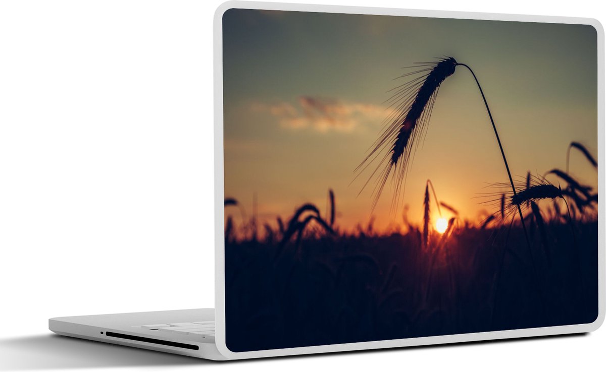 Laptop sticker - 13.3 inch - Gras - Herfst - Zonsondergang - Seizoenen - Landschap - 31x22,5cm - Laptopstickers - Laptop skin - Cover