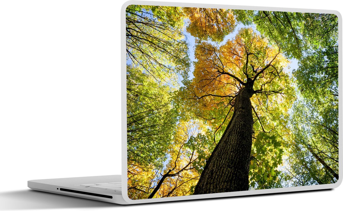 Laptop sticker - 17.3 inch - Boom - Natuur - Bos - 40x30cm - Laptopstickers - Laptop skin - Cover
