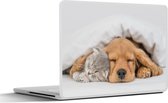 Laptop sticker - 13.3 inch - huisdieren - hond - Kat - Deken - 31x22,5cm - Laptopstickers - Laptop skin - Cover