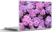 Laptop sticker - 11.6 inch - Bloemen - Hortensia - Struik - Roze - Bloemblaadjes - 30x21cm - Laptopstickers - Laptop skin - Cover